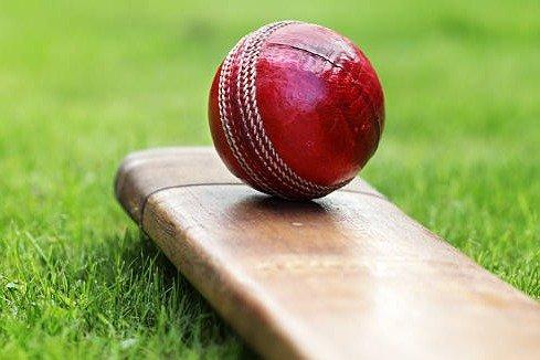 Cricket